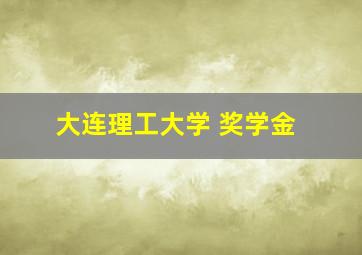 大连理工大学 奖学金